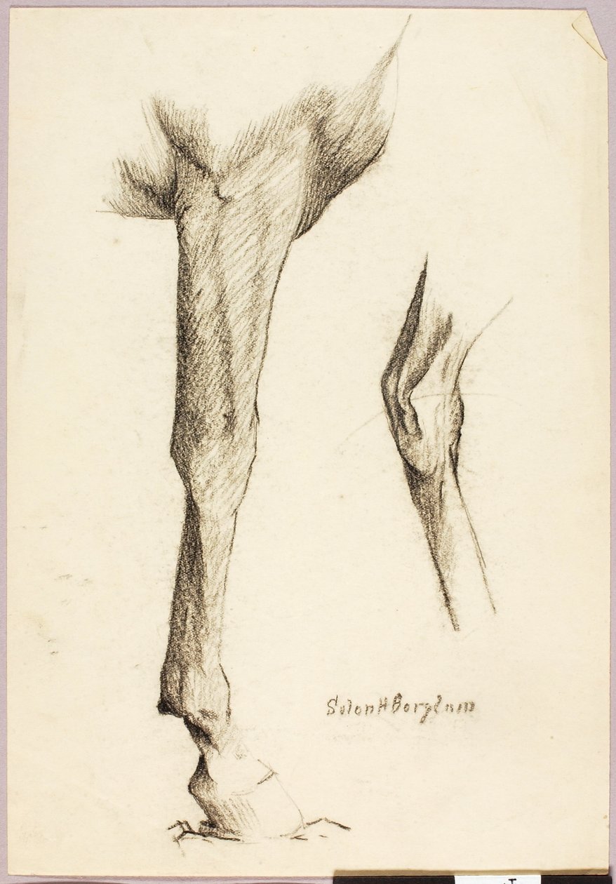 Estudio sobre caballos de Solon H. Borglum