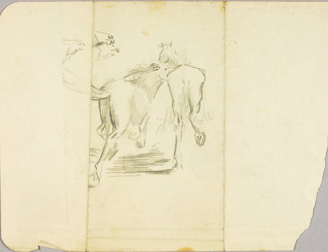 Caballos de Solon H. Borglum