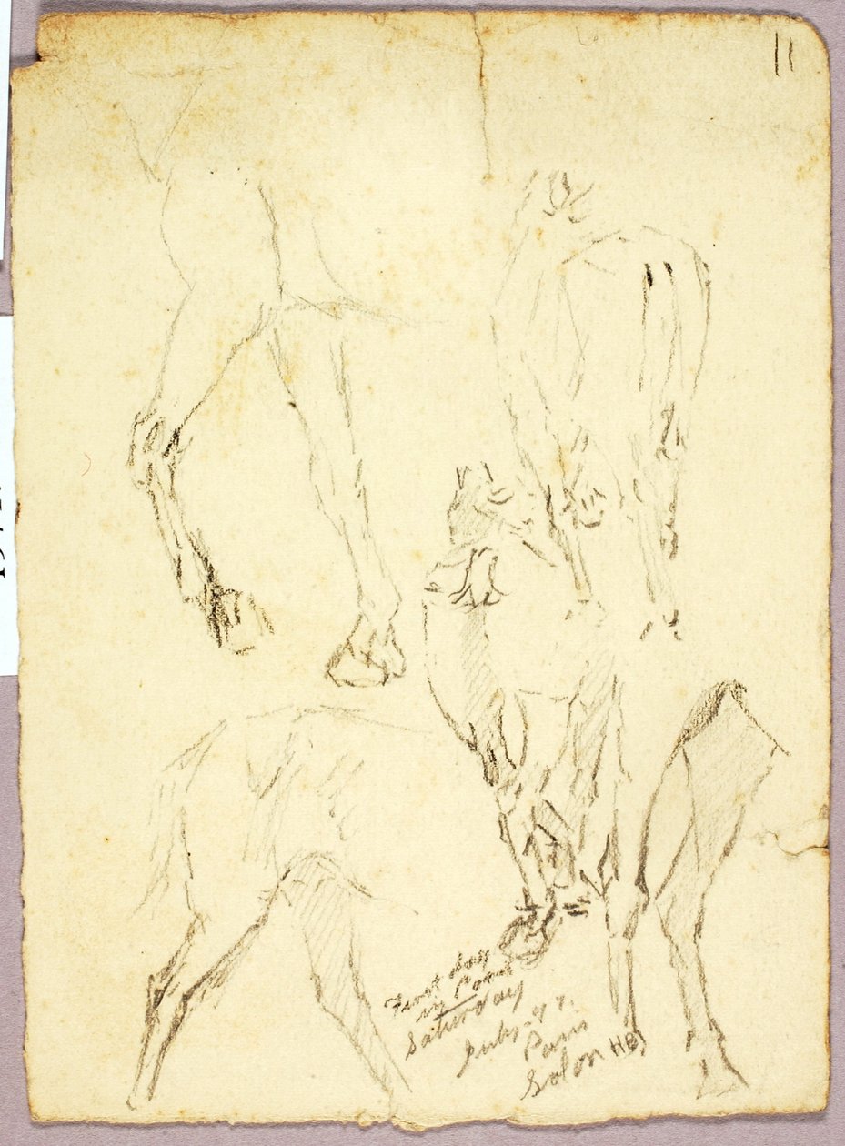 Caballos de Solon H. Borglum