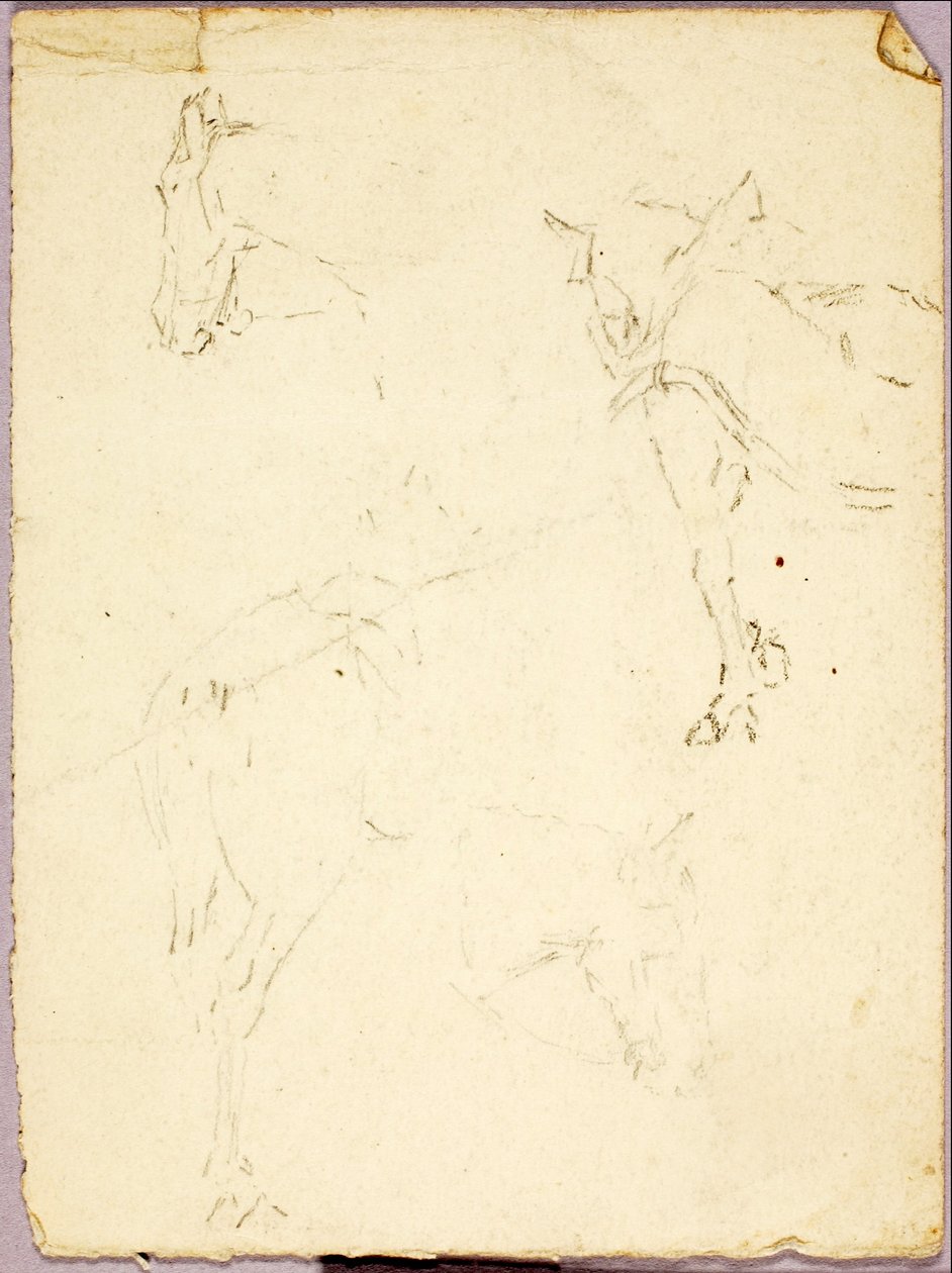 Caballos de Solon H. Borglum