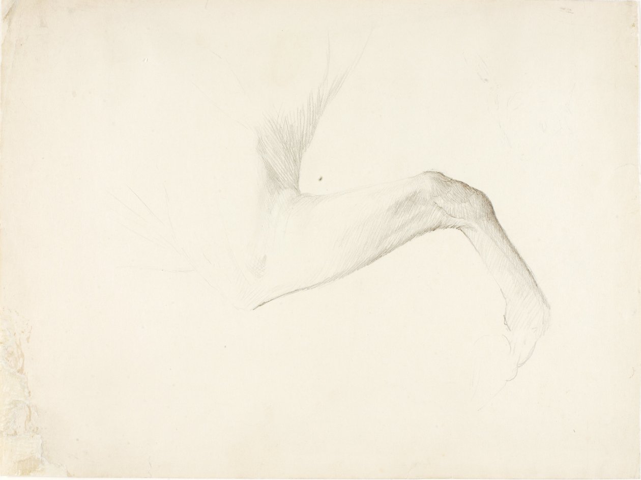 Pierna de caballo de Solon H. Borglum