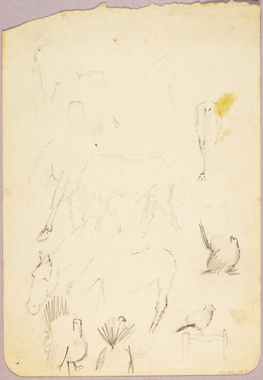 Caballos y pavos de Solon H. Borglum