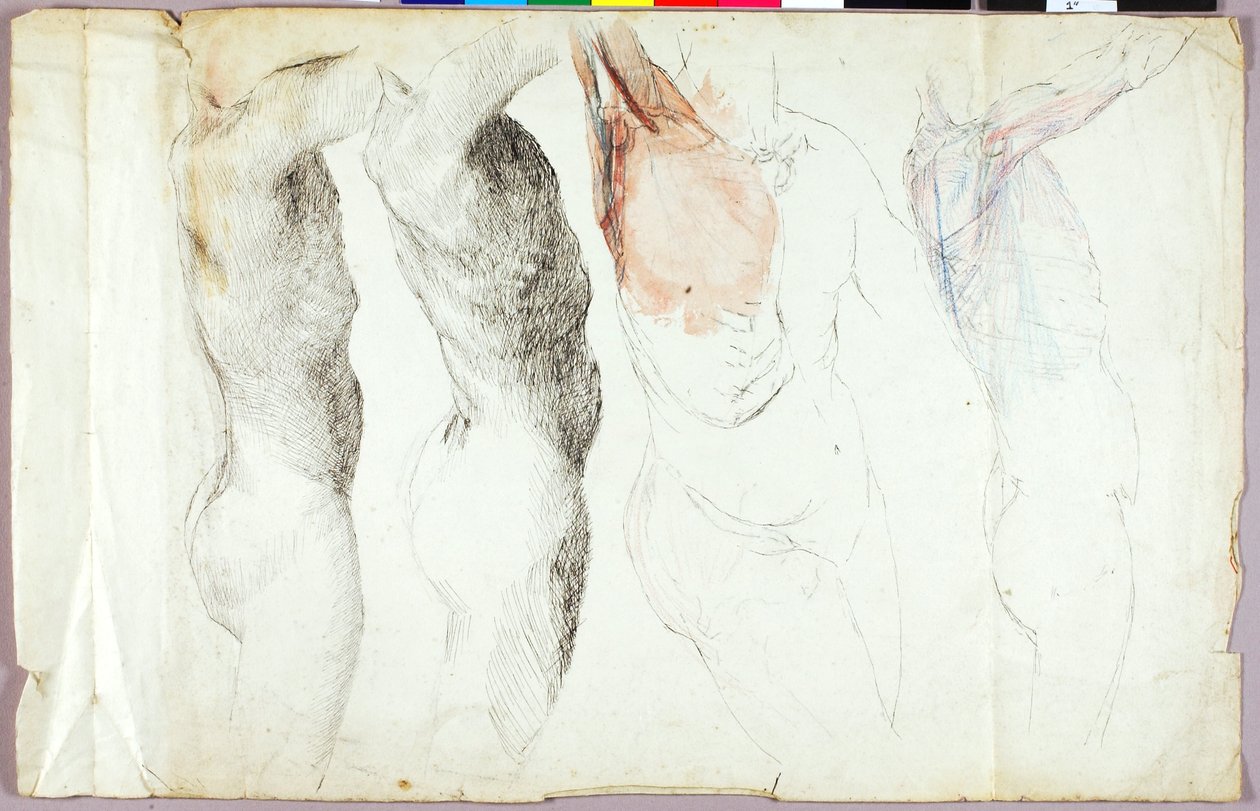 Estudios de desnudos de Solon H. Borglum