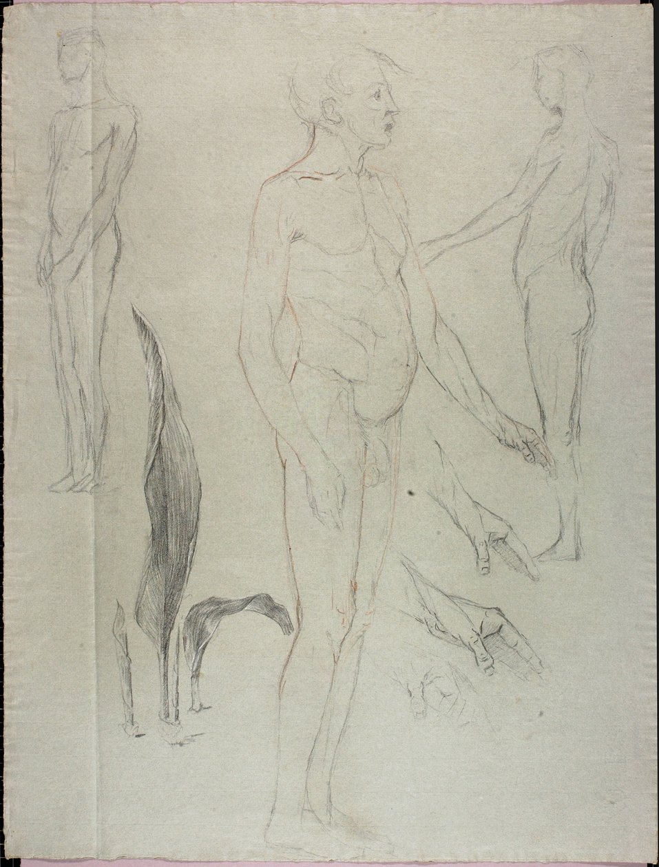 Desnudos y hojas de Solon H. Borglum