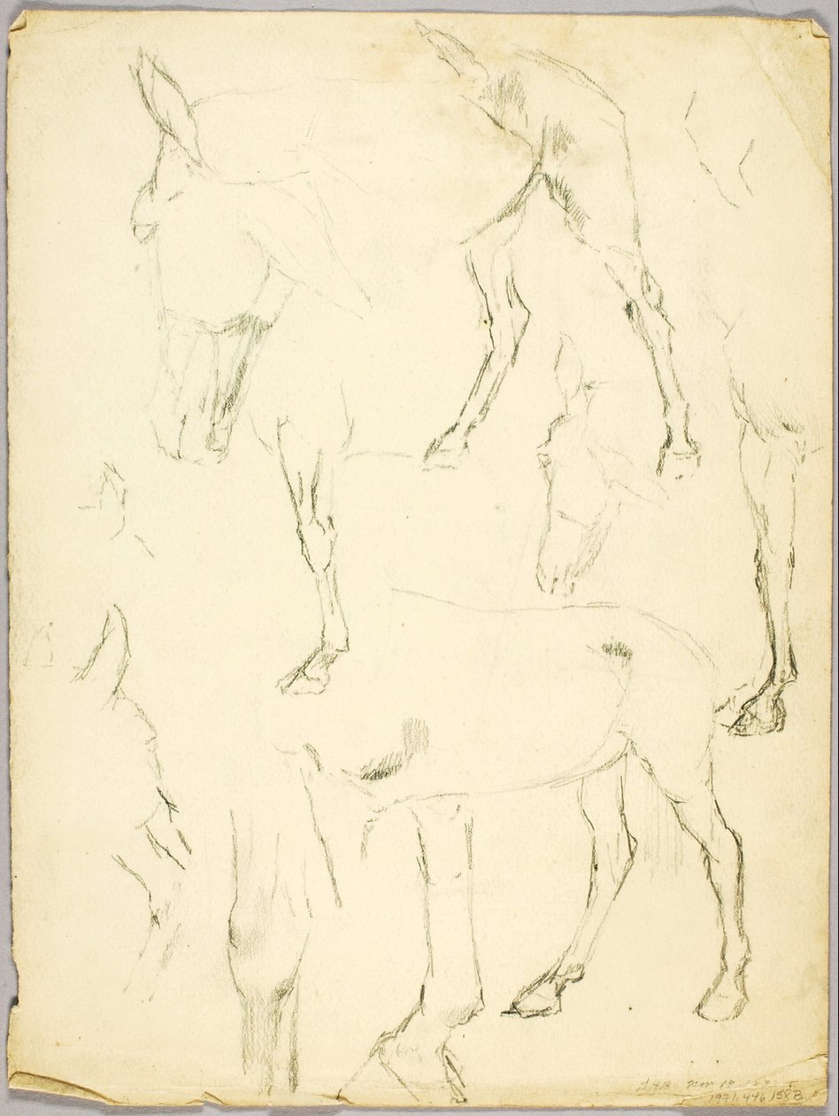 Estudio de retrato, Estudio de caballo de Solon H. Borglum
