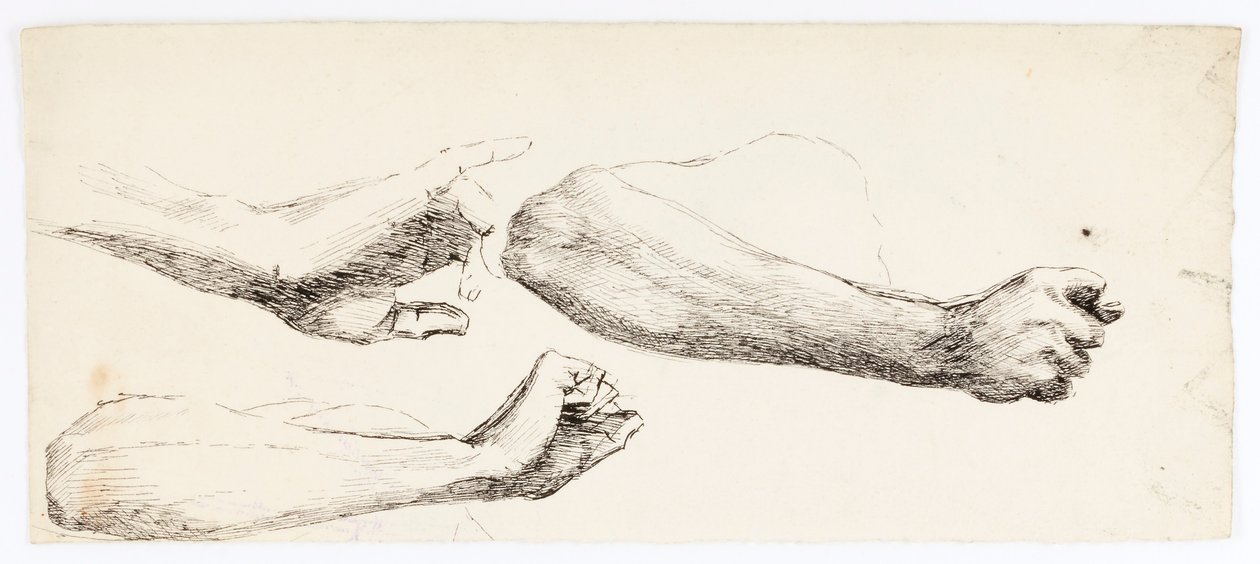 Estudios de tres brazos de Solon H. Borglum