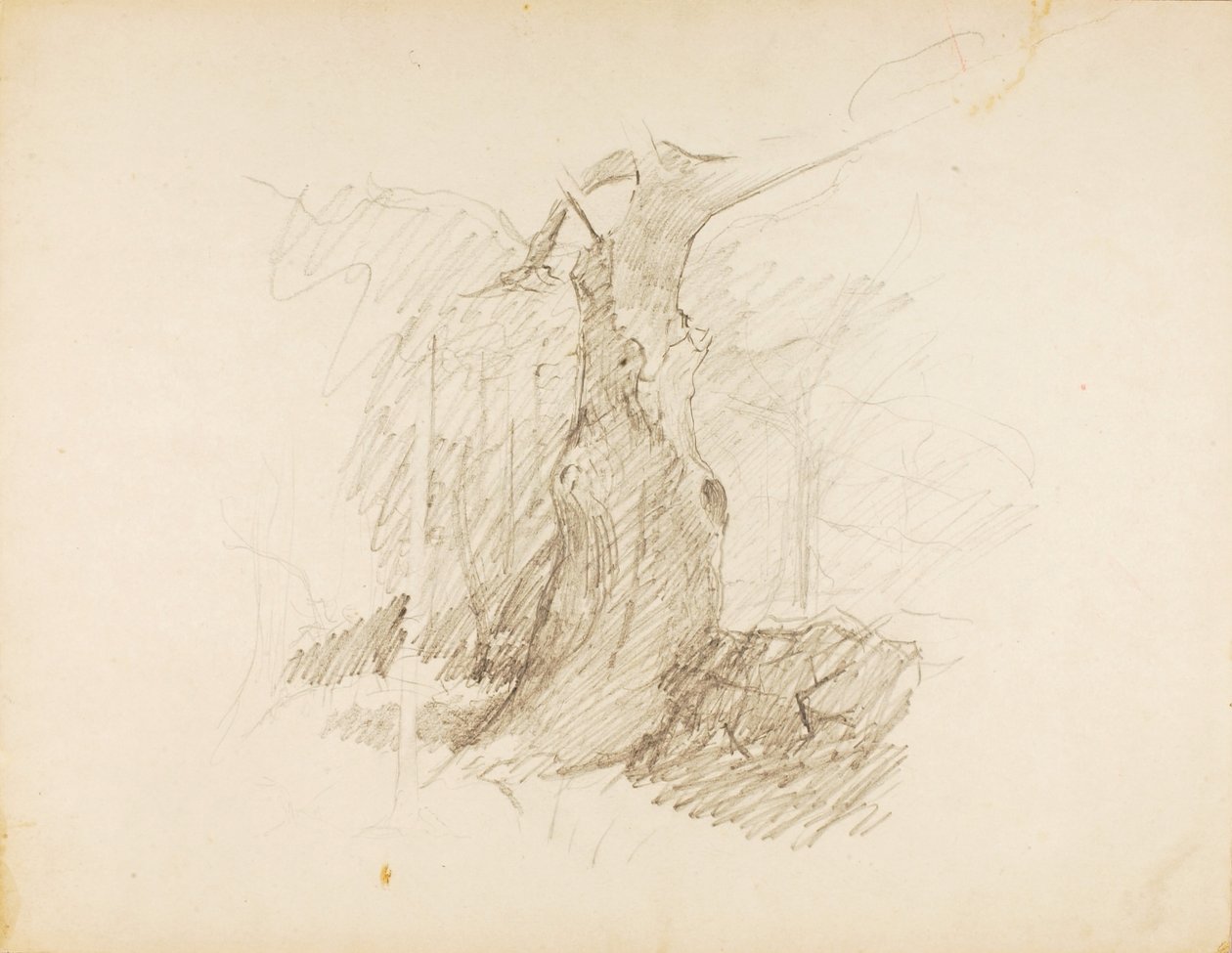 Sin título de Solon H. Borglum