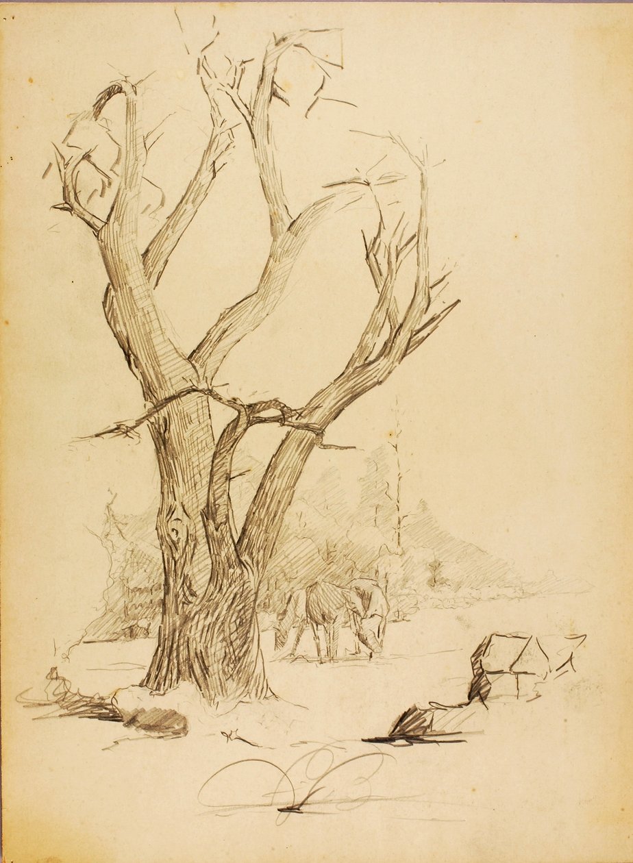 Sin título de Solon H. Borglum
