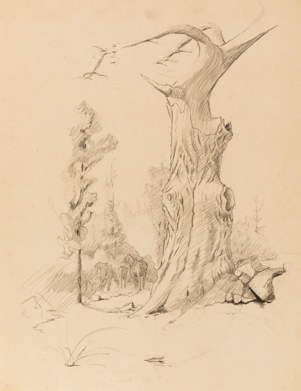 Sin título de Solon H. Borglum