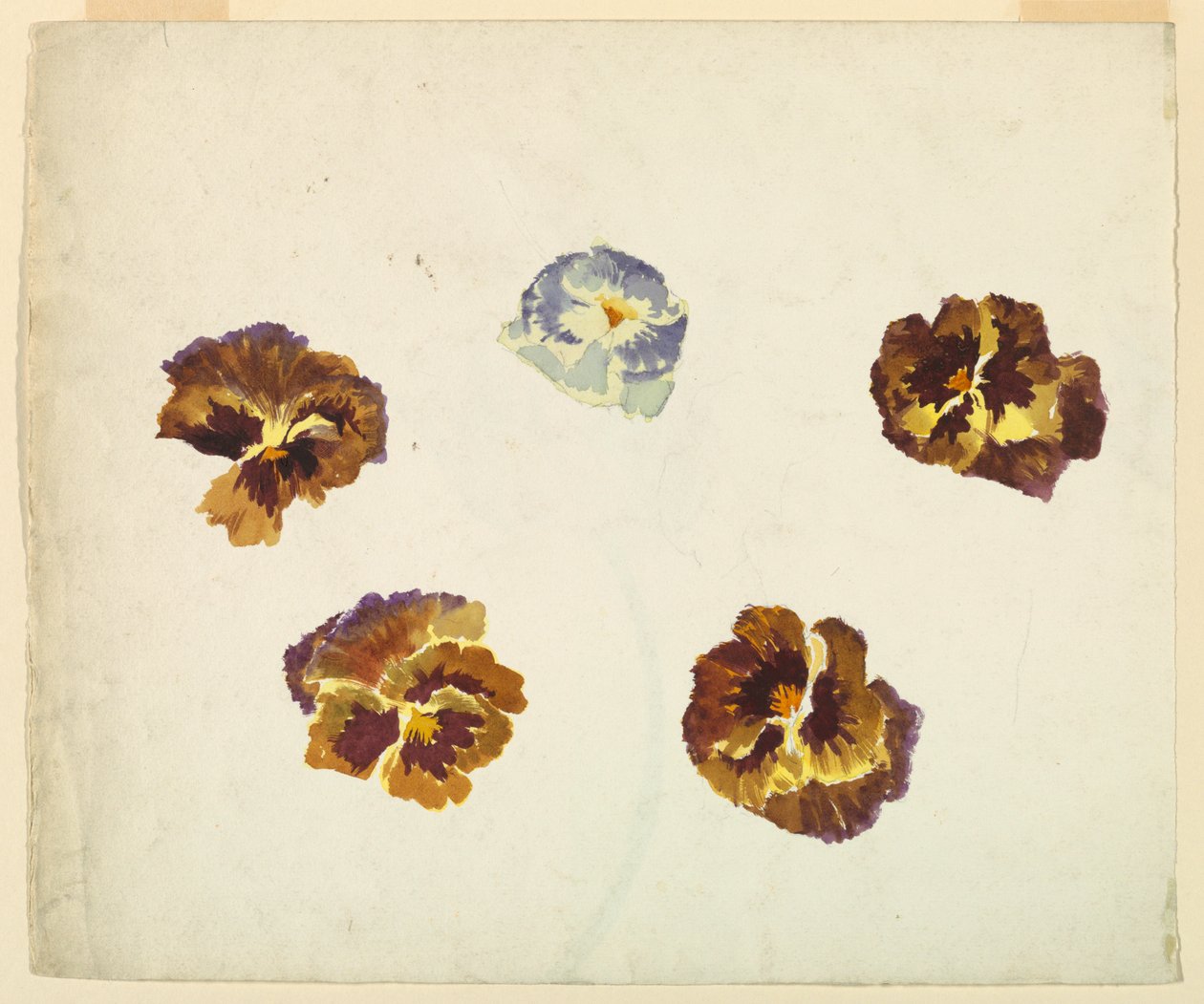 Recto de Sophia L. Crownfield