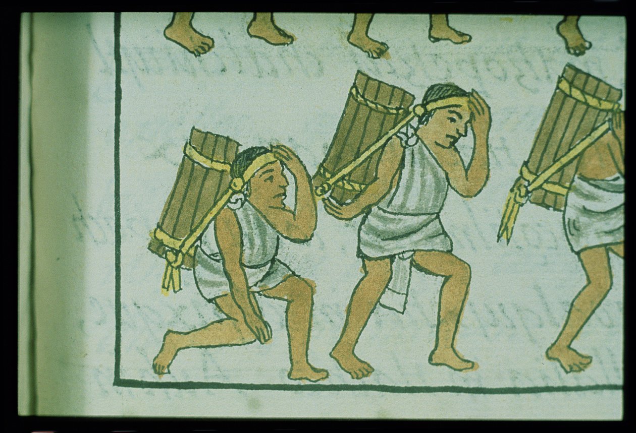 Libro IX Porteadores aztecas, del 
