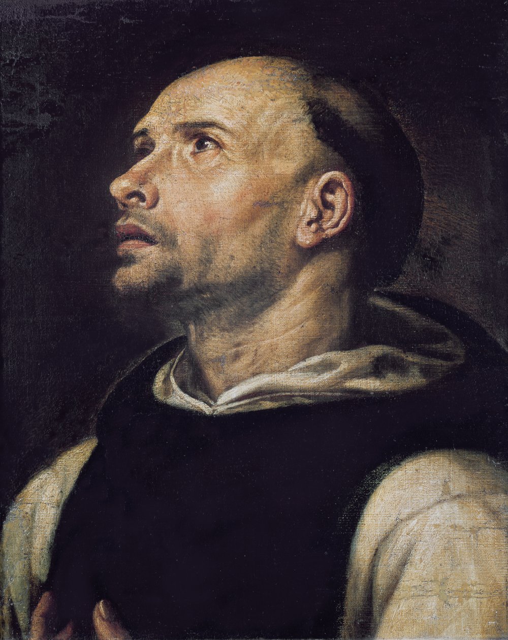 Retrato de un monje de Spanish School