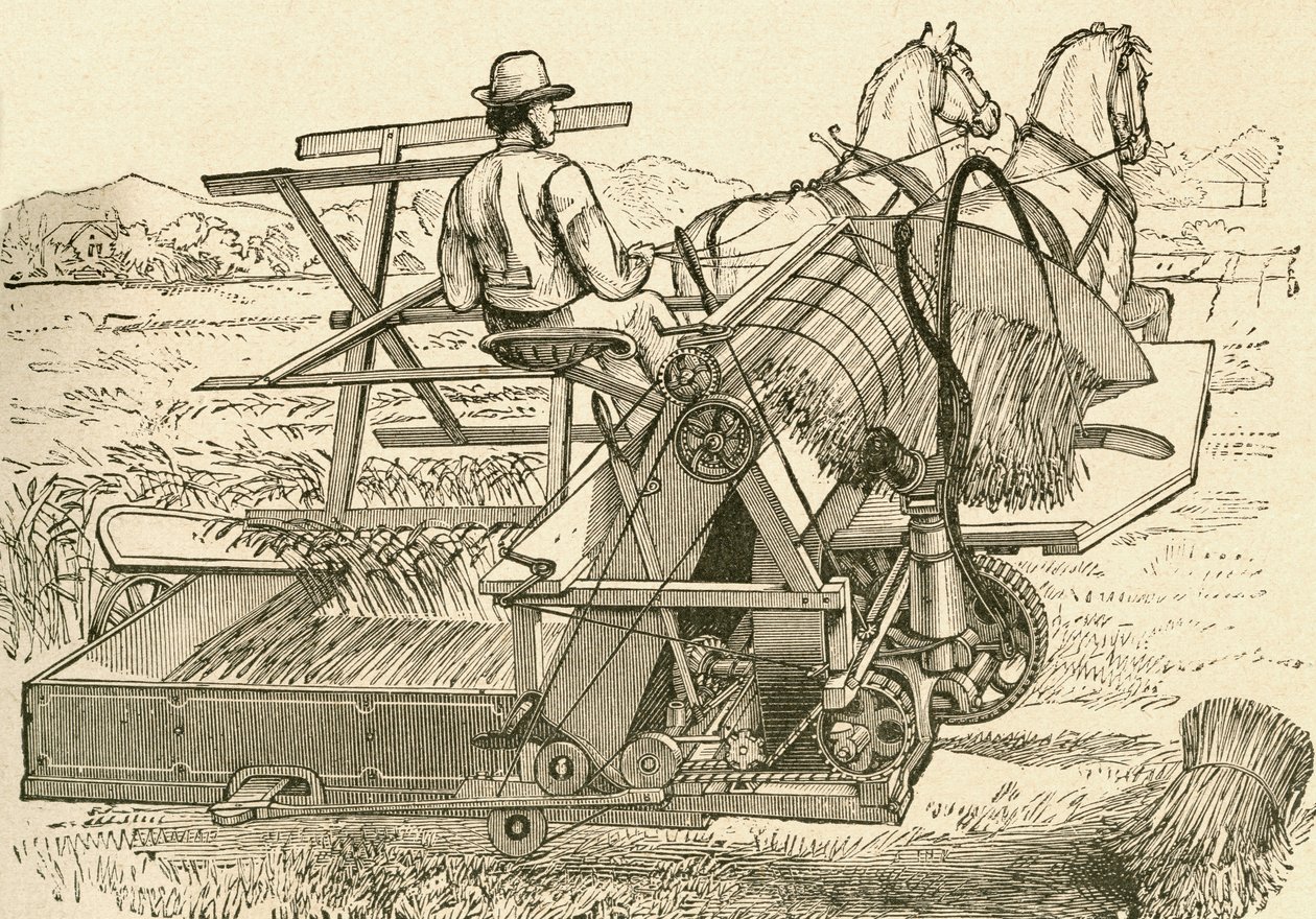 Máquina cosechadora, tirada por caballos, que ataba las gavillas de maíz mecánicamente, utilizada a finales del siglo XIX. Del Museo Popular publicado en Madrid de Spanish School