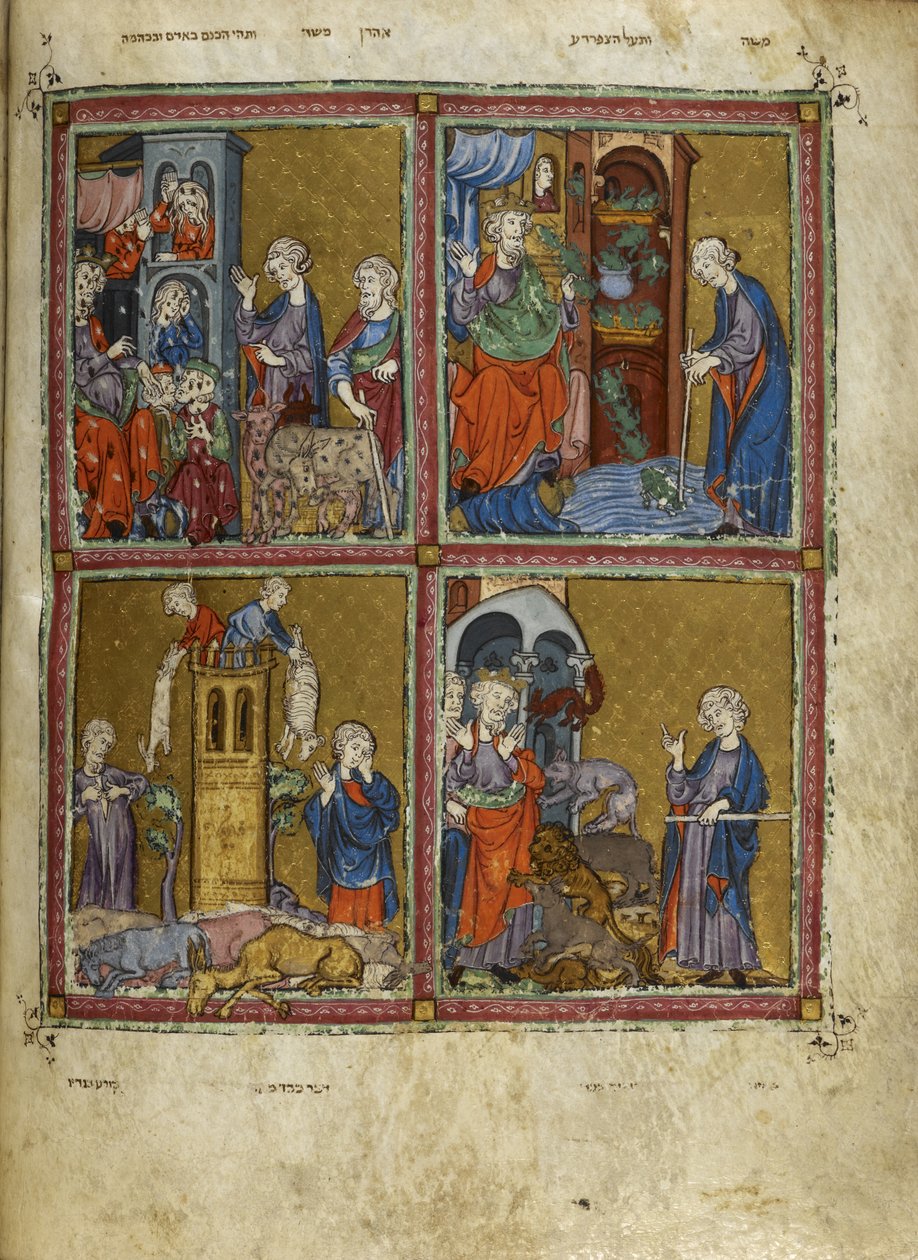 Agregar. 27210, f.12v Escenas de Éxodo: Las plagas de piojos, ranas, murrain y pestilencia, ilustraciones de 