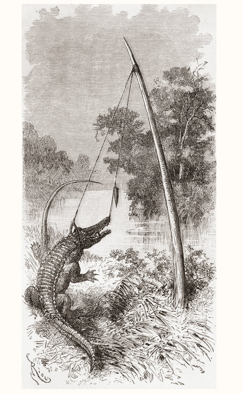 Una trampa para caimanes en el río Oyapock o Oiapoque, que forma la frontera entre Guayana Francesa y Brasil de Spanish School