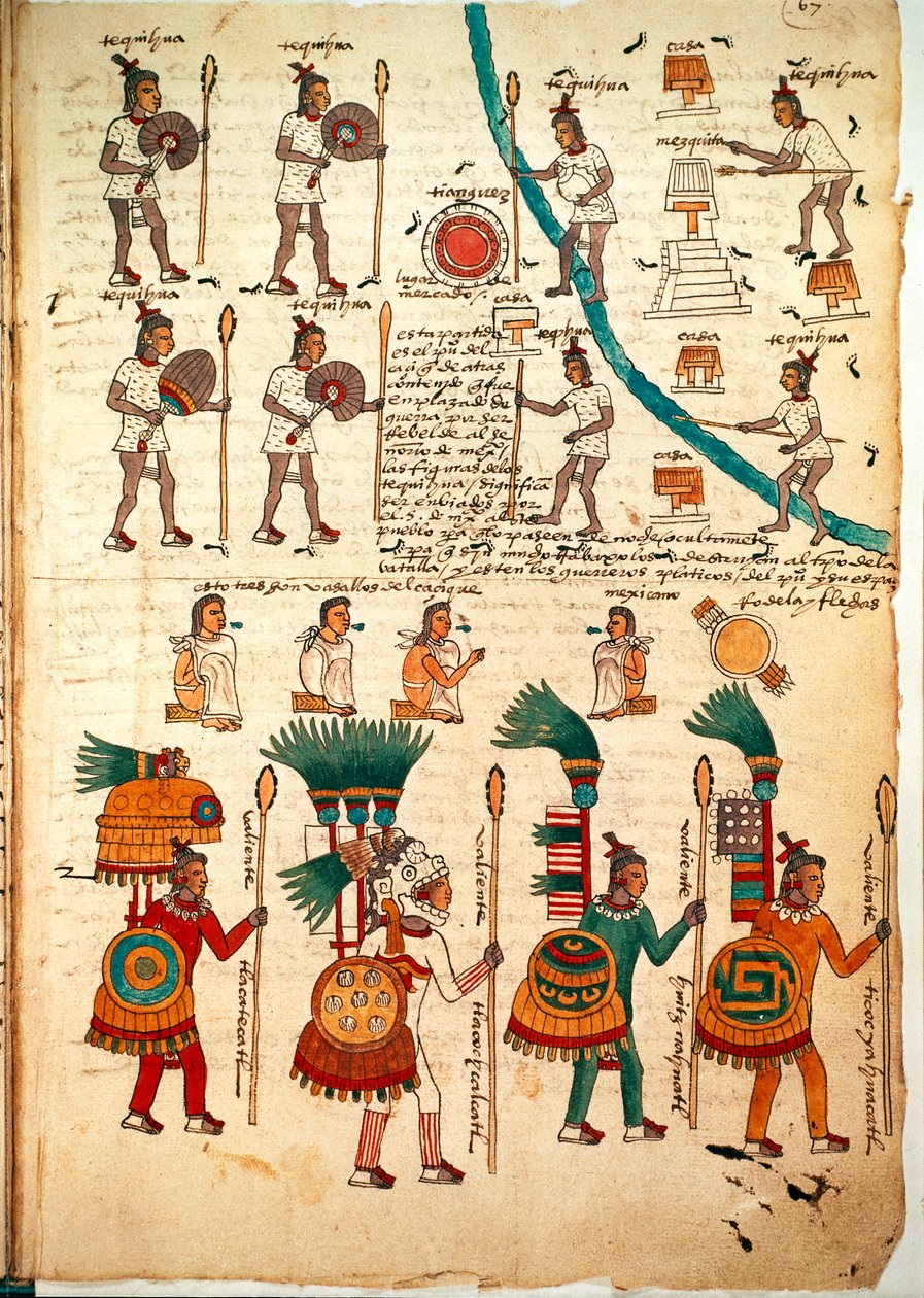 Página del Códice Mendoza mostrando guerreros aztecas armados con lanzas y escudos, c.1541-42 de Spanish School