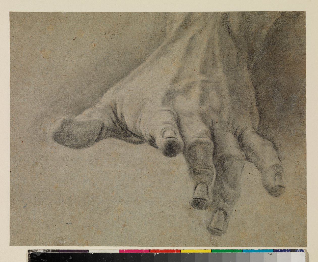 Estudio de una mano izquierda, siglo XVIII de Spanish School