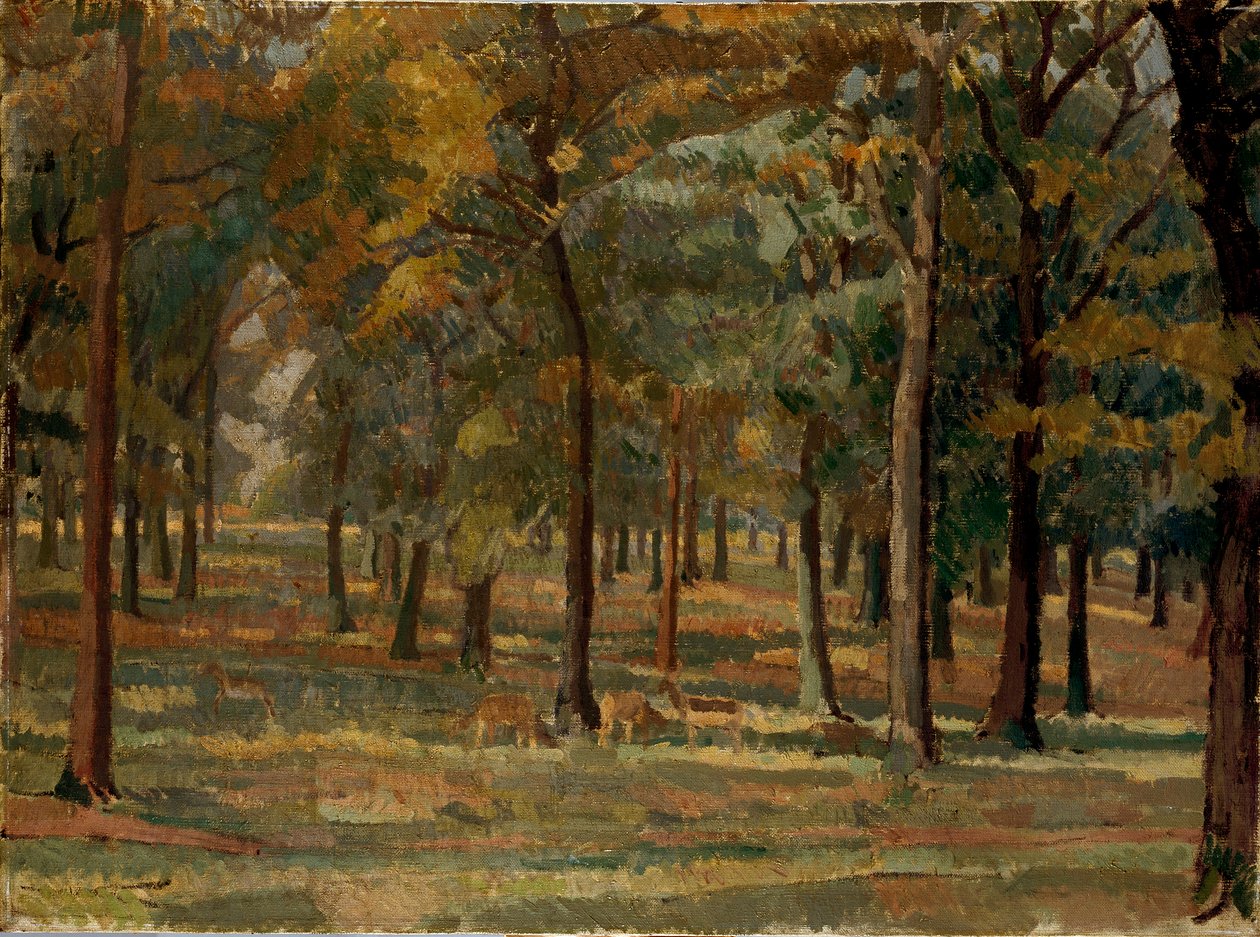 Parque Richmond de Spencer Gore