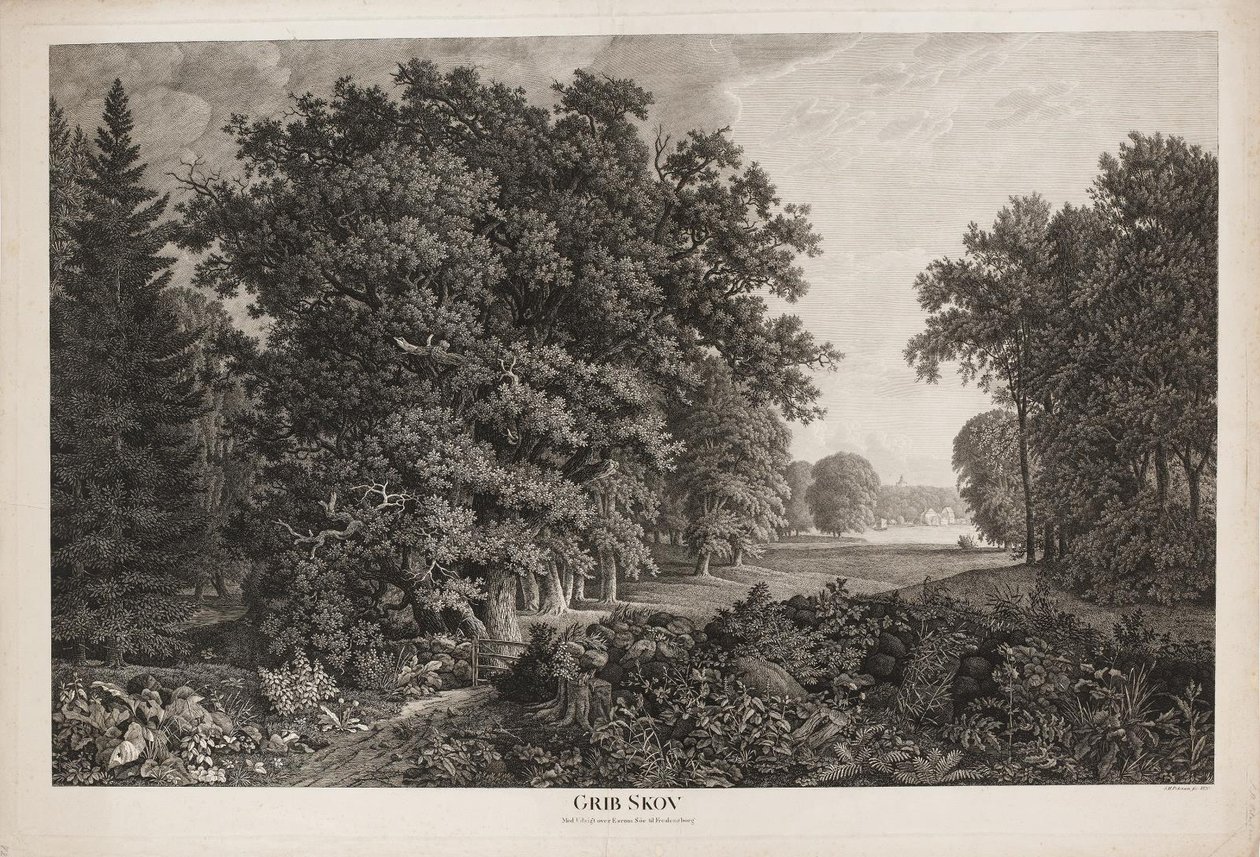 Grib Skov con vista sobre Esrum Sø hacia Fredensborg de Søren Henrik Petersen