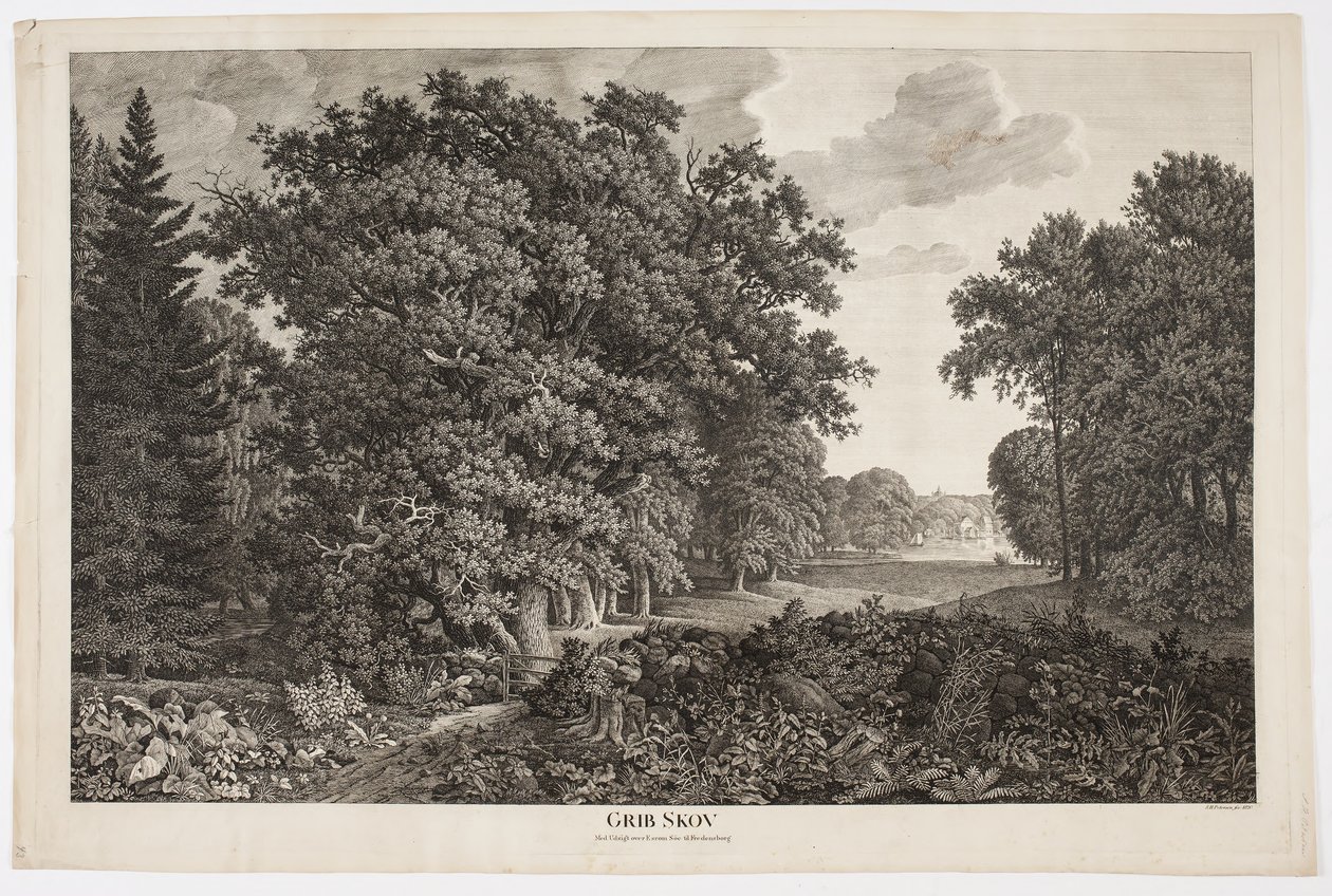 Grib Skov con vista sobre el lago Esrum hacia Fredensborg de Søren Henrik Petersen