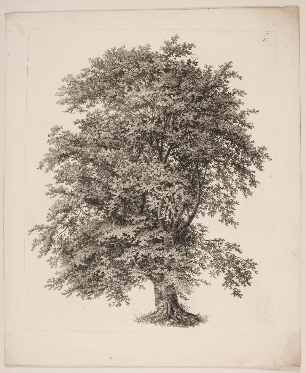 "Estudios de la naturaleza con respecto al dibujo de paisajes de S.H. Petersen", n.º 2 de Søren Henrik Petersen