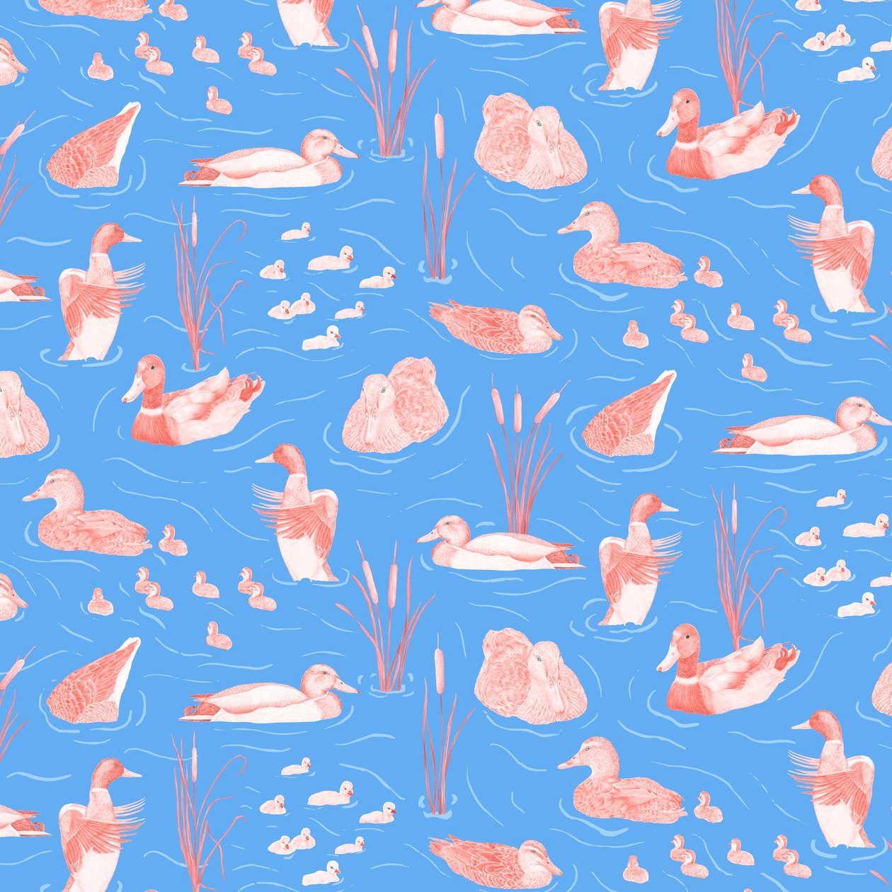 Estanque de patos, 2022 (lápiz de grafito y digital) de Stacy Hsu