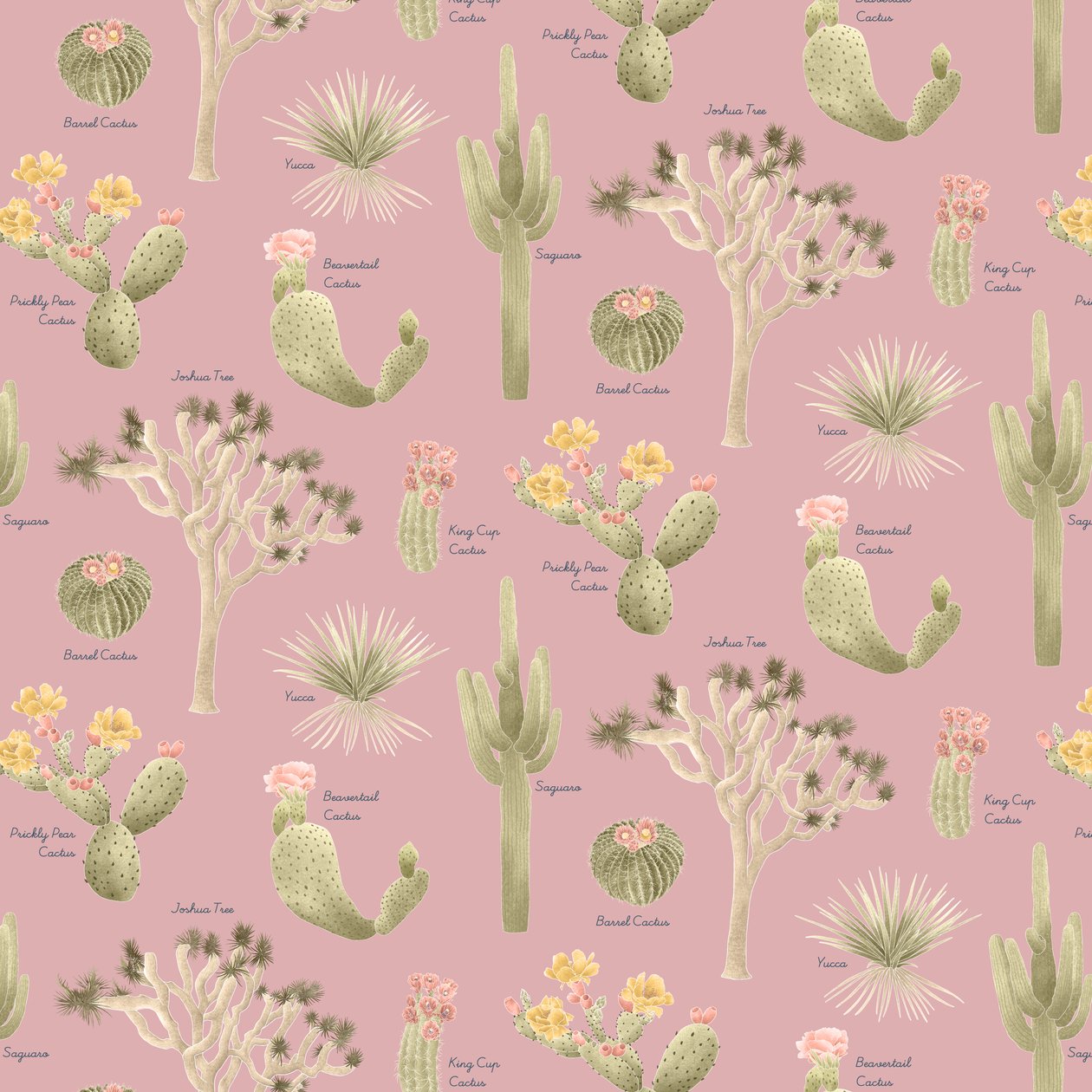 Mojave Desert Cacti pattern, 2021 (lápiz de grafito y digital) de Stacy Hsu