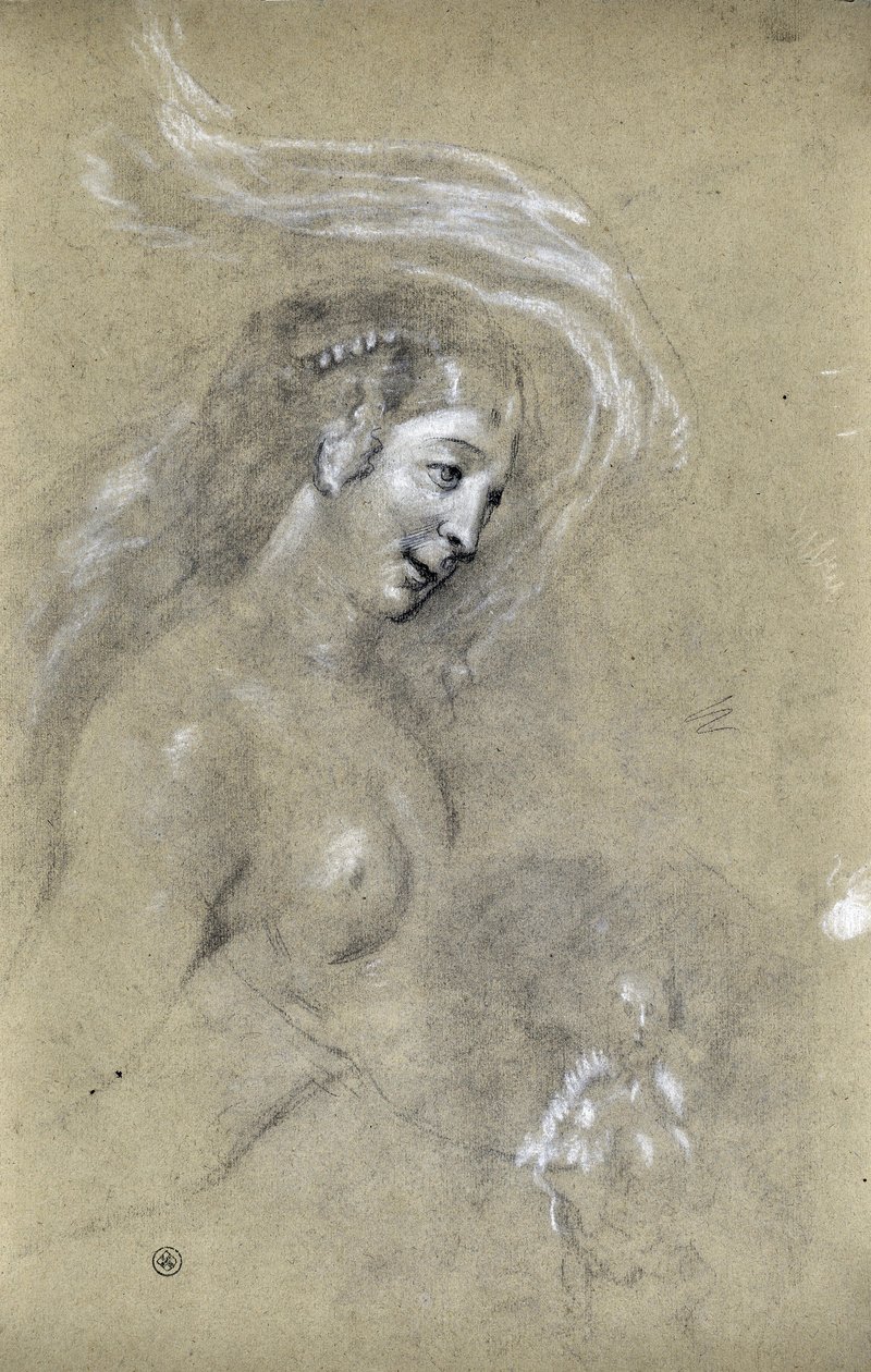 Estudio de perfil de mujer (dibujo) de Stanislas Torrents y de Amat