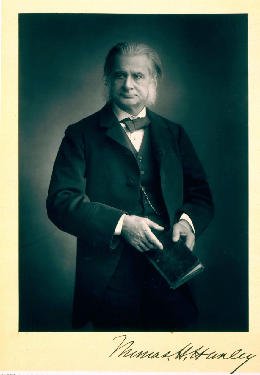 Profesor Thomas H. Huxley (1825-95), biólogo, retrato fotográfico de Stanislaus Walery