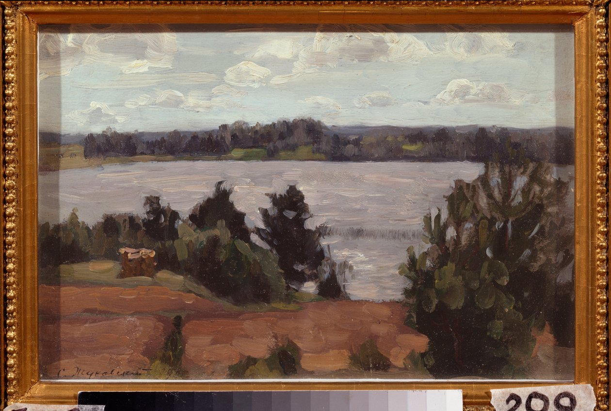 En la orilla del lago. Obra de Stanislav Yulianovich Zhukovsky (1873-1944), óleo sobre tabla de Stanislav Joulianovitch Joukovski