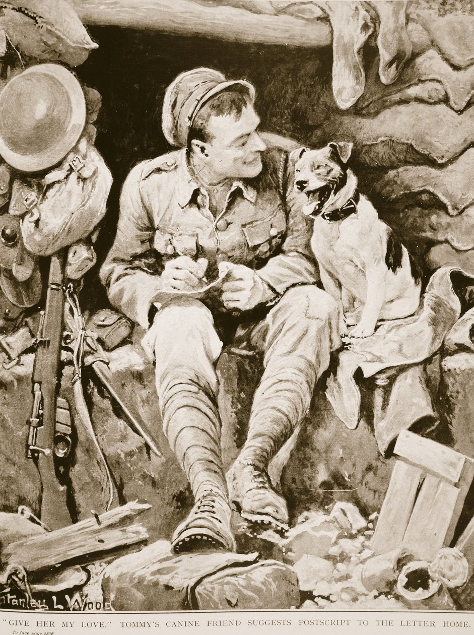 Dale mi amor, el amigo canino de Tommy sugiere un postscript a la carta a casa, de War Illustrated, c. 1916 de Stanley L. Wood