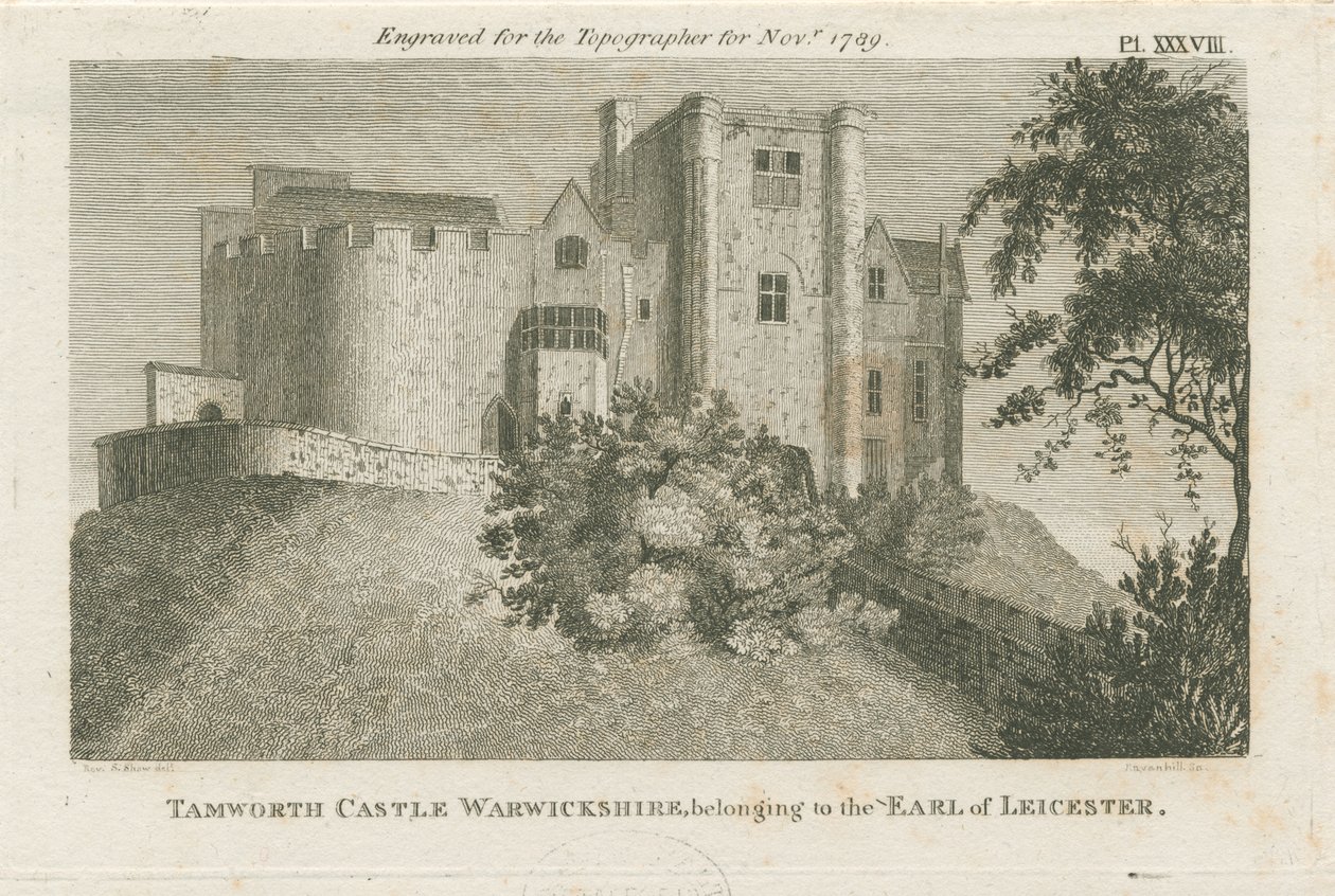 Castillo de Tamworth de Stebbing Shaw