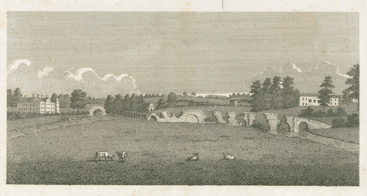 Puente de Wolseley: grabado de Stebbing Shaw