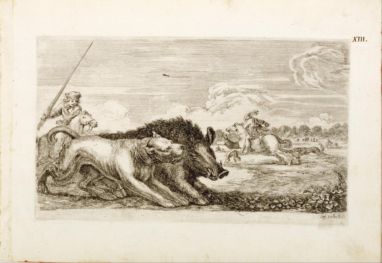 Il cinghiale si dirige verso destra de Stefano della Bella