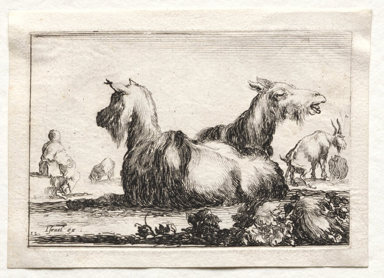 Caprichos: Dos cabras de Stefano della Bella