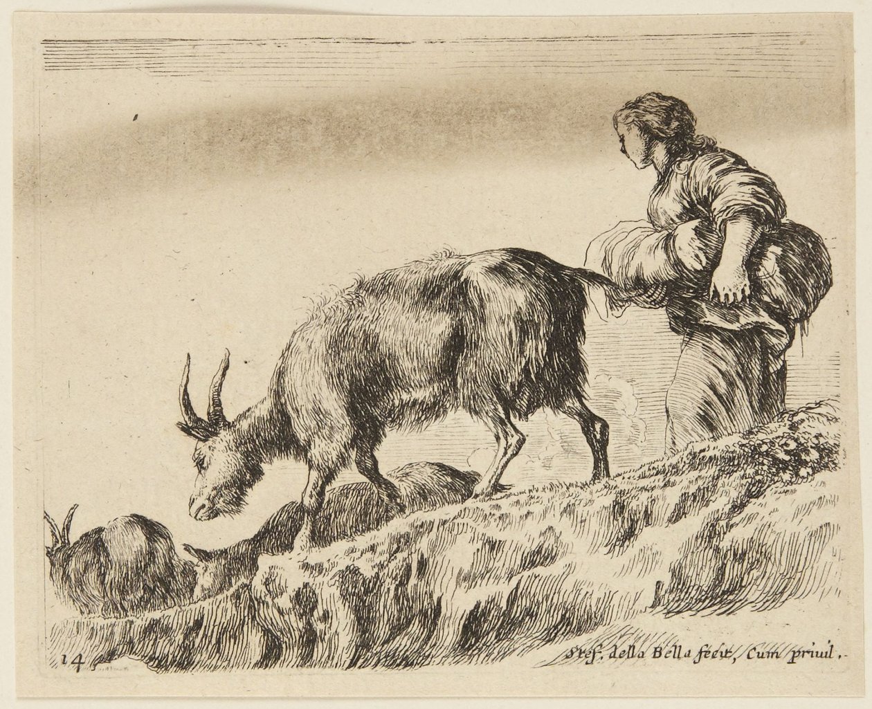 Cabras (Animales diversos, 14) de Stefano della Bella