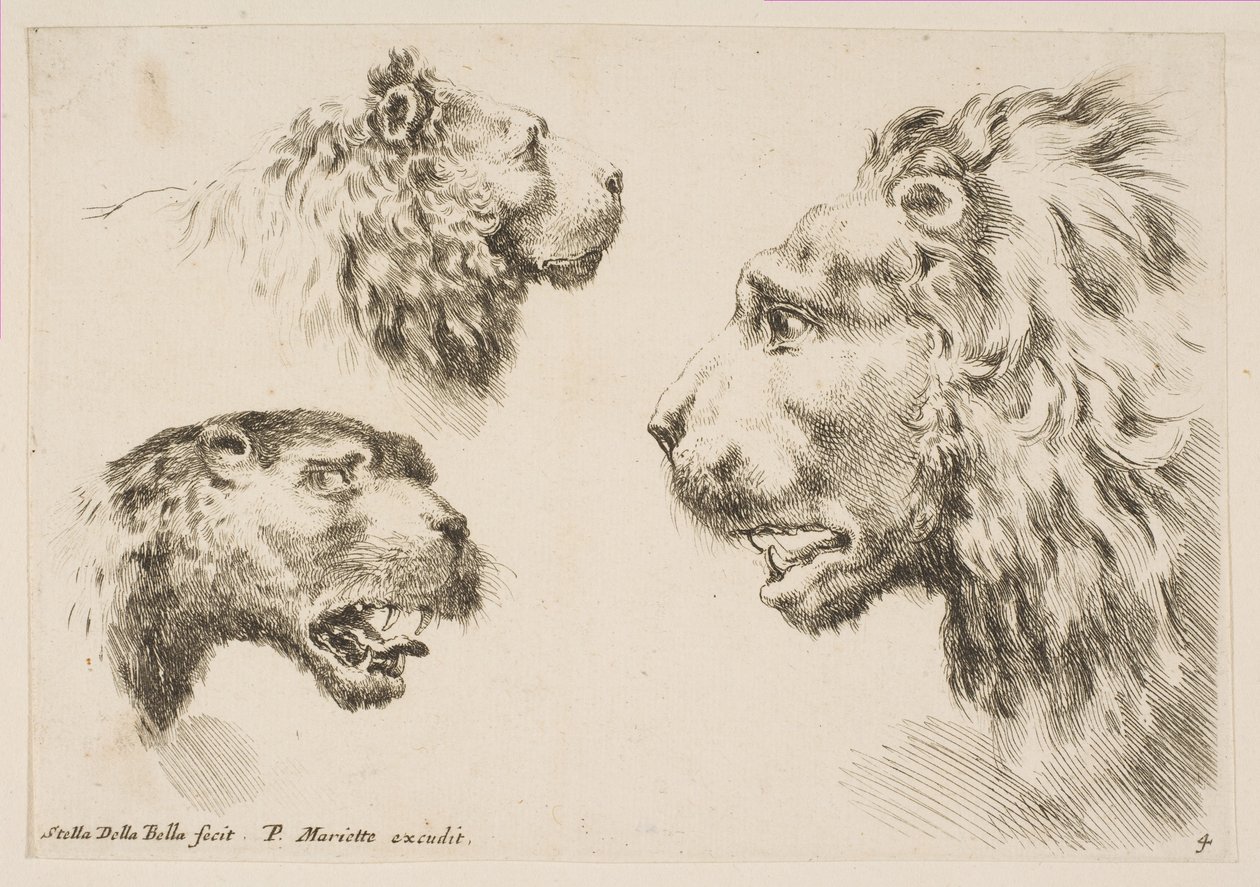 Cabezas de Tres Leones de Stefano della Bella