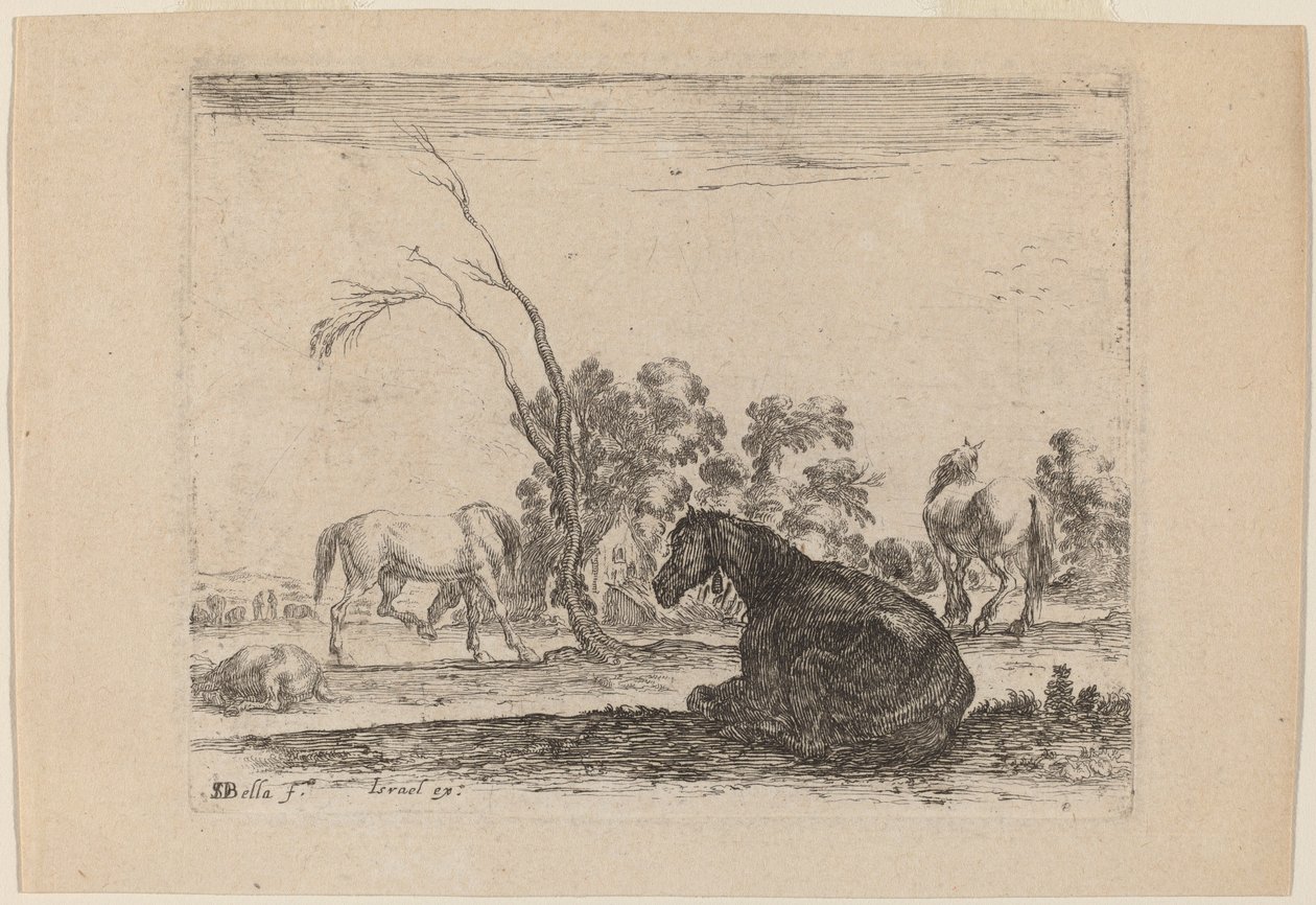 Caballos en un Pastizal de Stefano della Bella