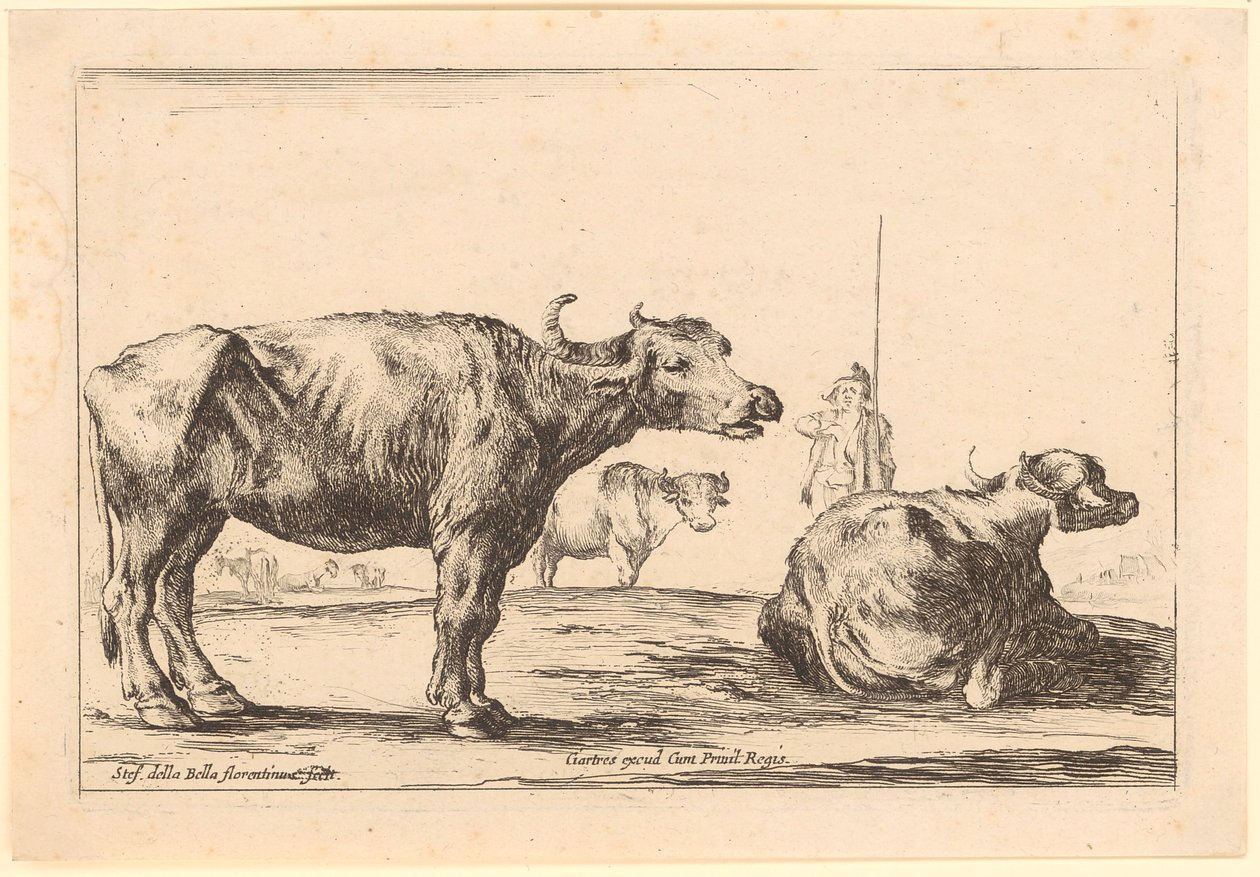 Vacas, lámina 8 de la serie «Figuras diversas» de Stefano della Bella
