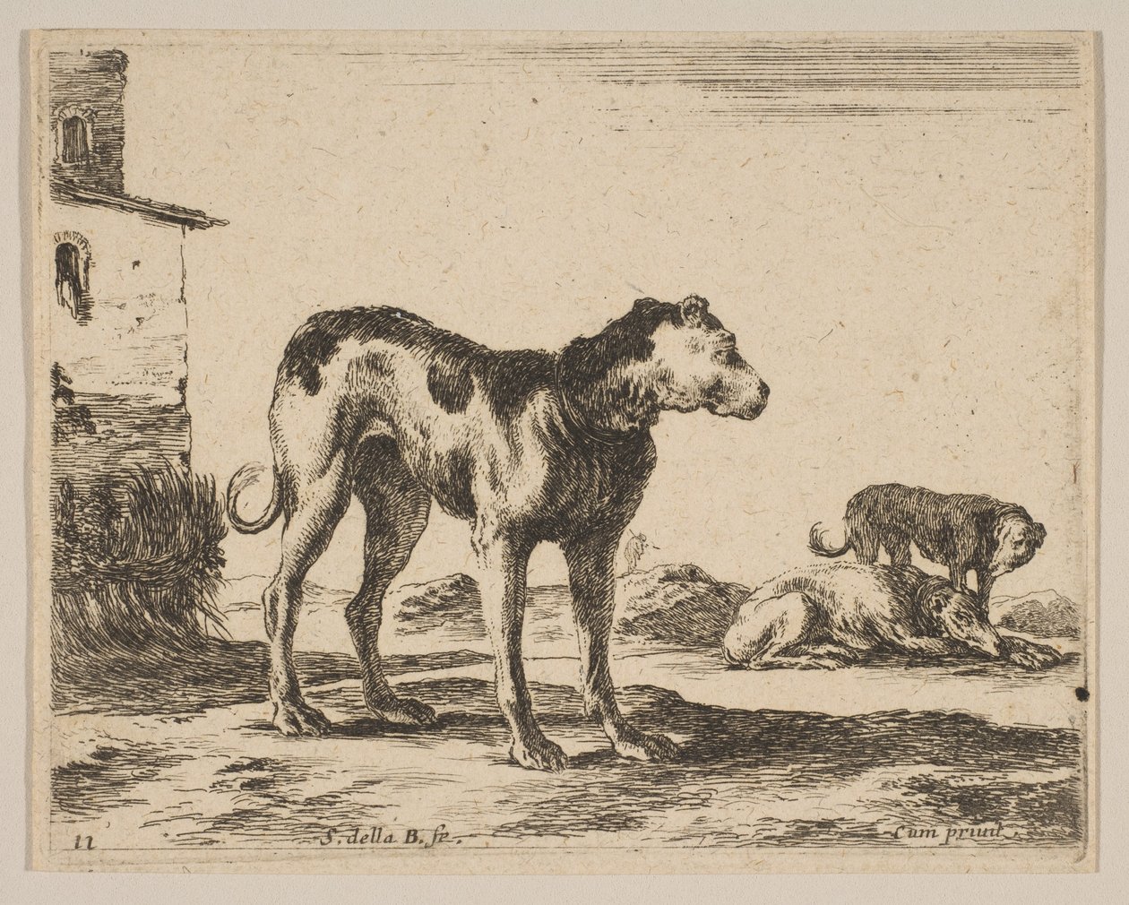 Perros, de Diversos animales de Stefano della Bella