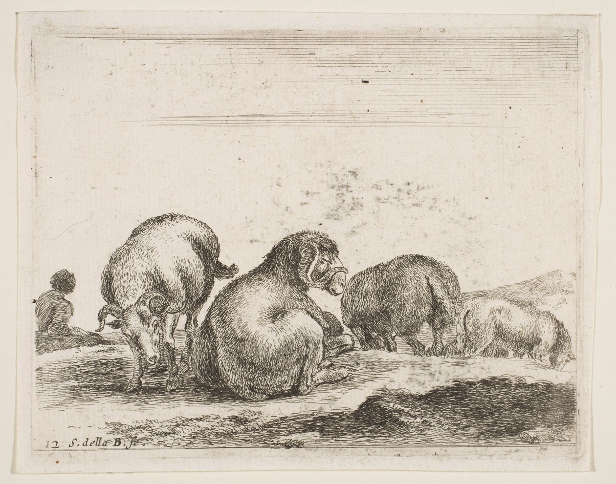 Placa 12: ovejas y carnero en un pasto, de Diversos animales, ca. 1641 de Stefano della Bella