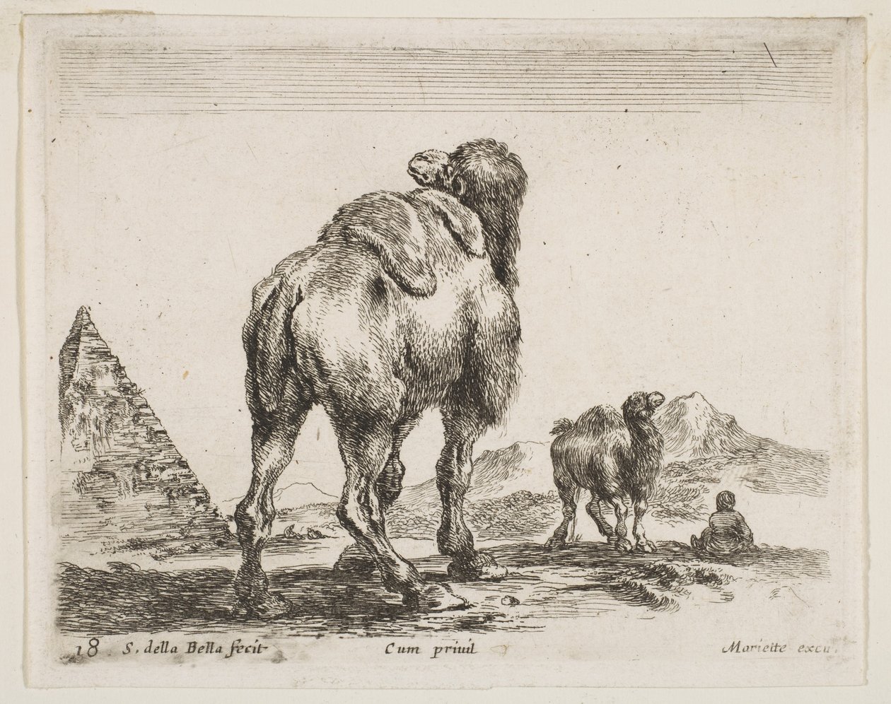 Placa 18: camello visto desde atrás con pirámide a la izquierda, de Diversos animales Diversi animali, ca. 1641 de Stefano della Bella
