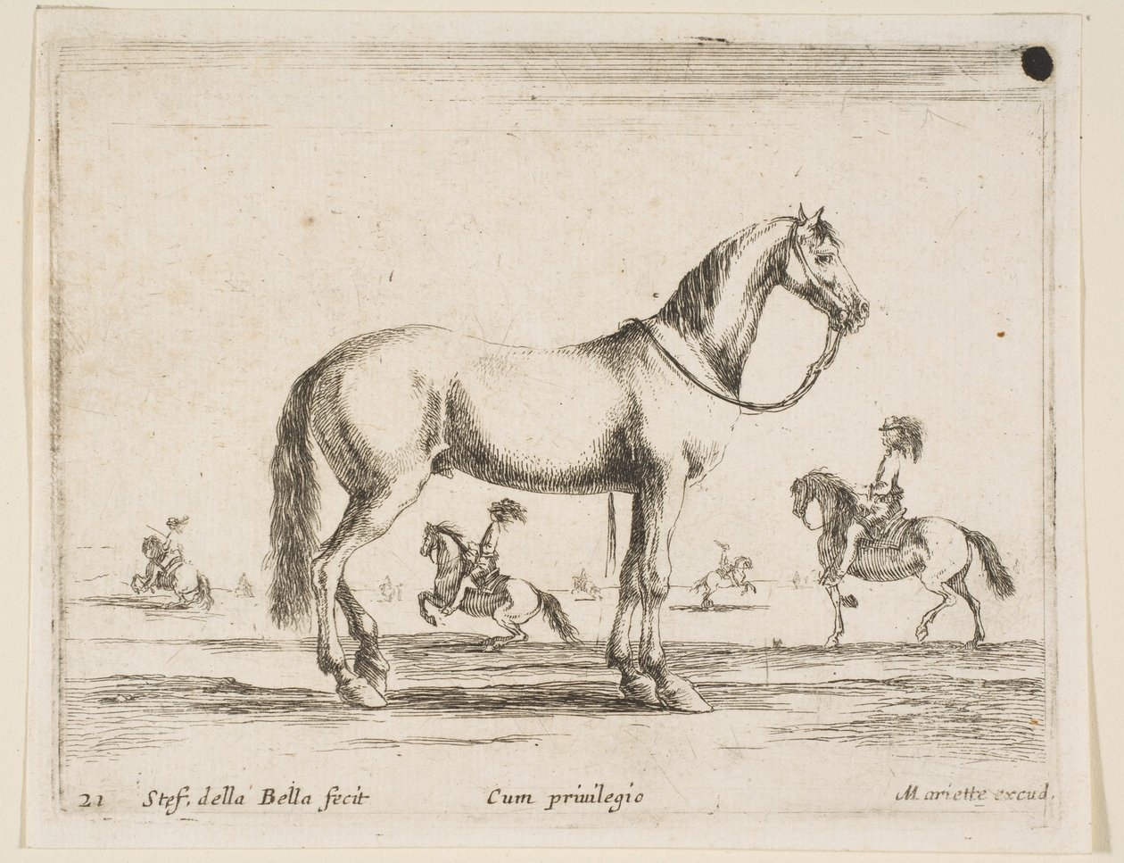 Placa 21: caballo, de Diversos animales, 1641 de Stefano della Bella