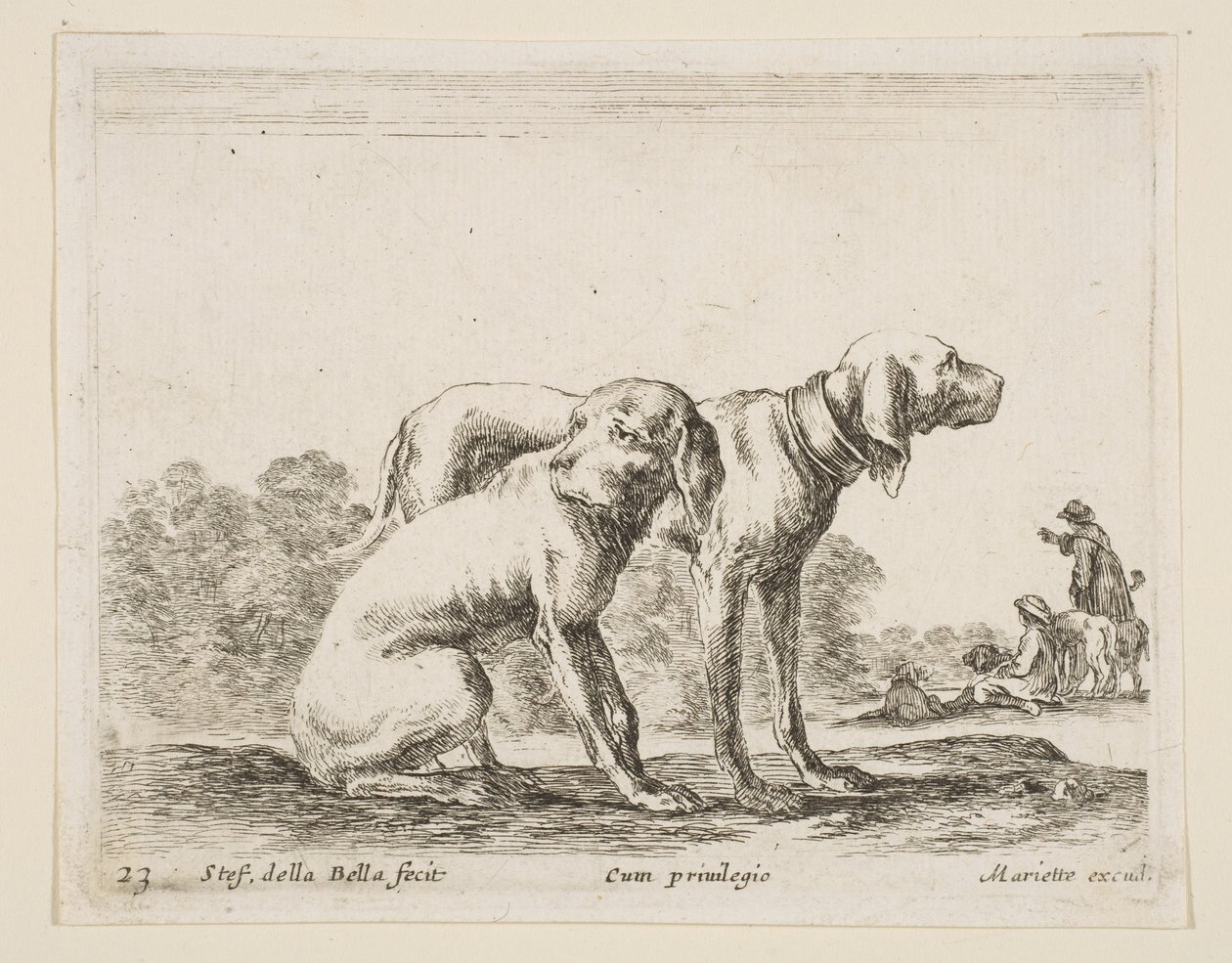 Placa 23: dos sabuesos, de Diversos animales Diversi animali de Stefano della Bella