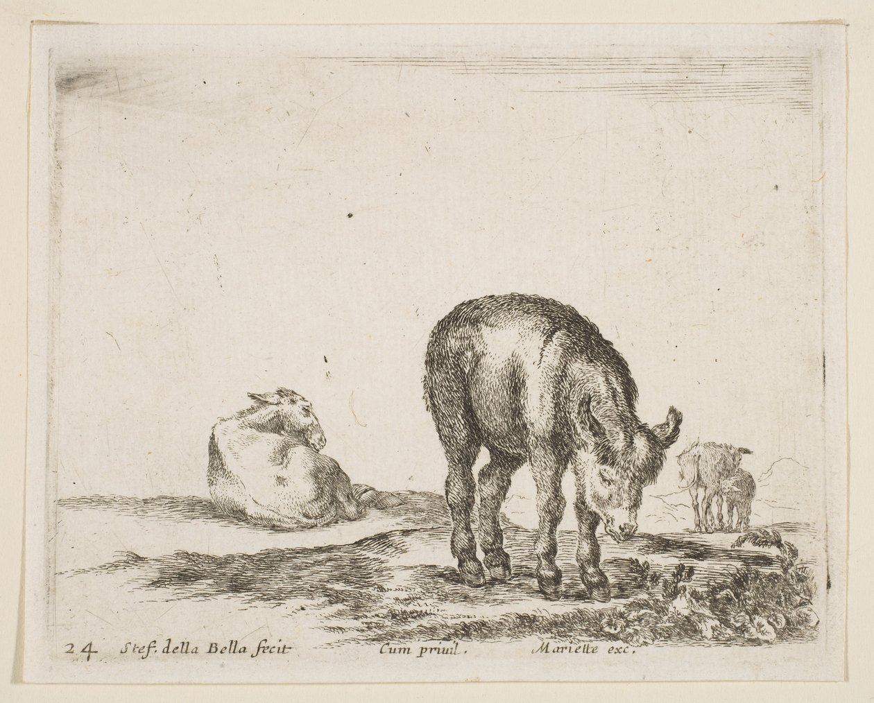 Placa 24: burros, de Various animals Diversi animali, ca. 1641 de Stefano della Bella