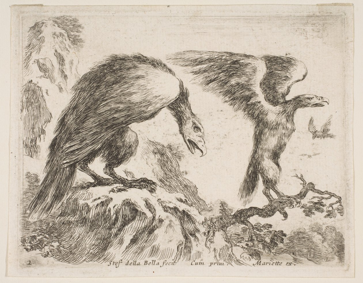 Placa 2: águila y aguilucho, de Diversos animales, ca. 1641 de Stefano della Bella