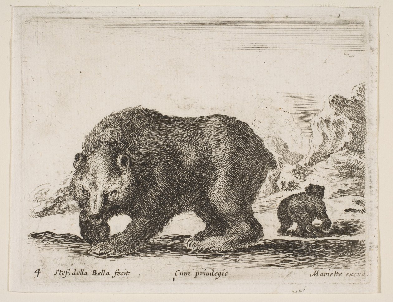 Placa 4: oso, de 