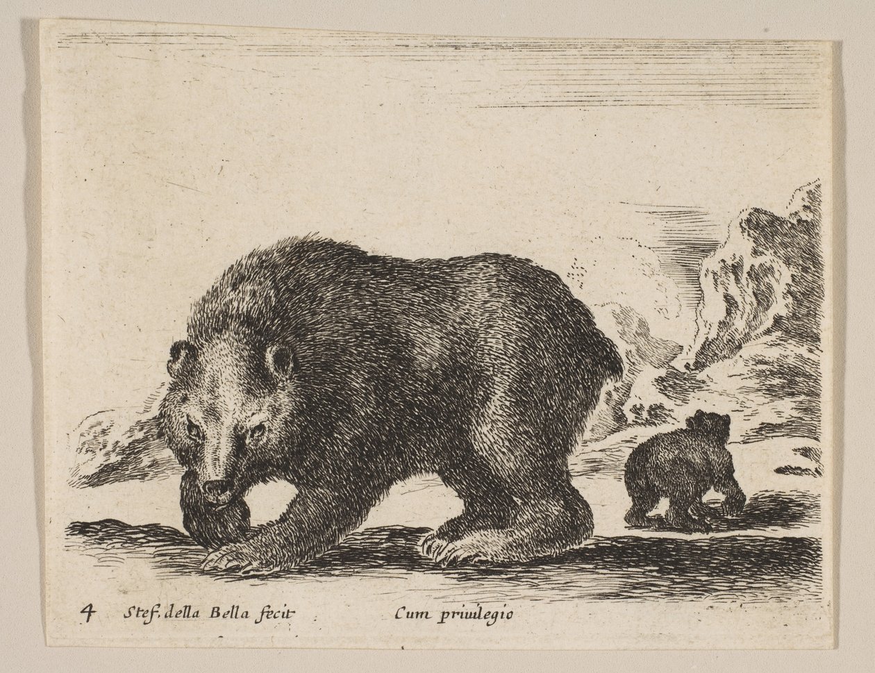 Placa 4: oso, de 