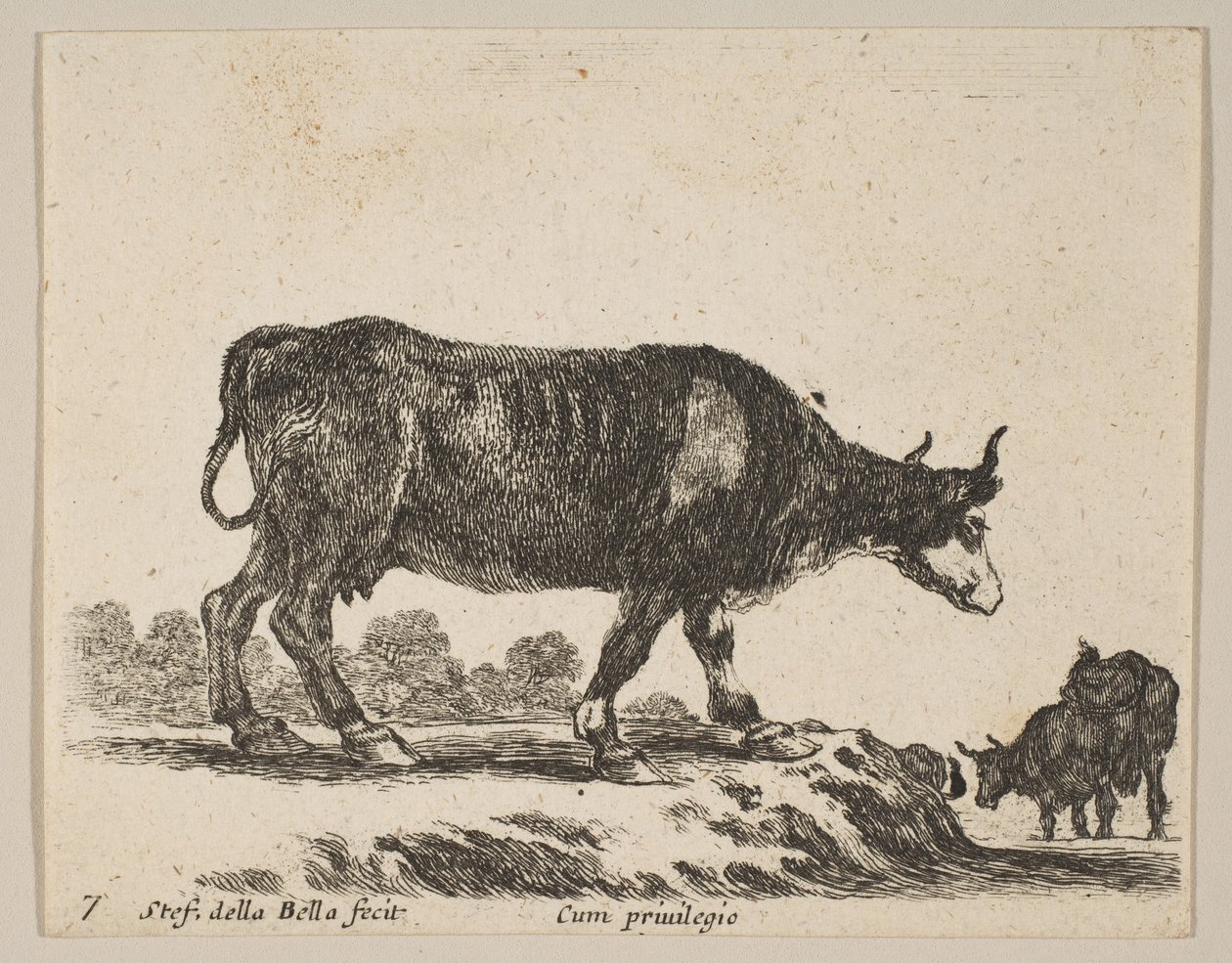 Placa 7: vaca, de Diversos animales Diversi animali, ca. 1641 de Stefano della Bella