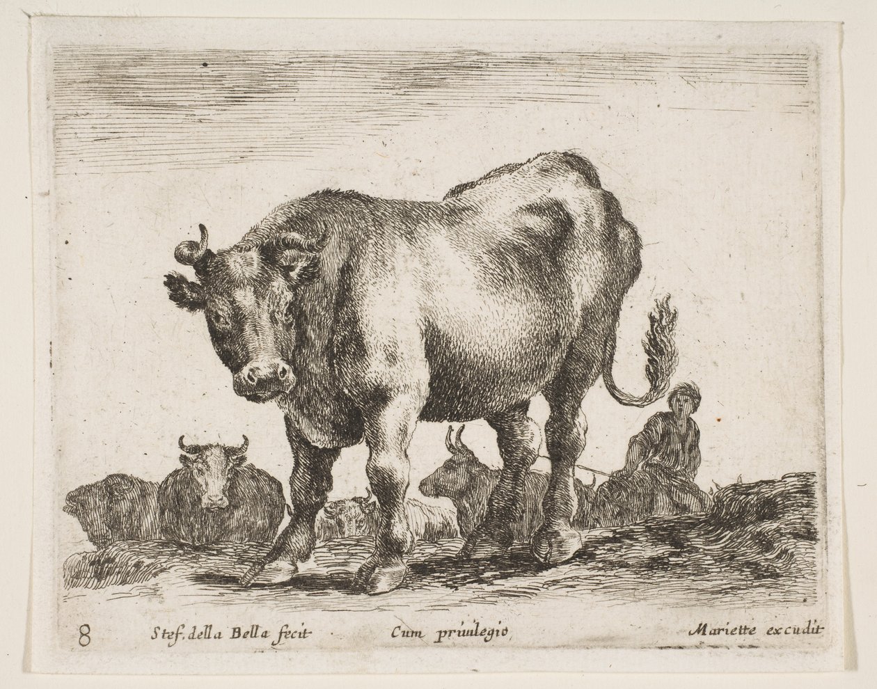 Vaca, de Diversos Animales Diversi animali, ca. 1641 de Stefano della Bella